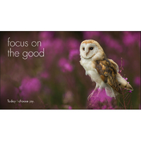 Inspirational Quote Book - A Little Book of Owl Wisdom