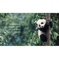 Inspirational Quote Book - A Little Book of Peaceful Pandas