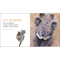 Inspirational Quote Book - A Little Book of Koala Karma