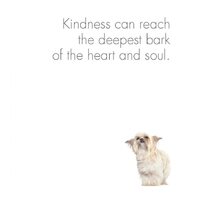 Inspirational Quote Book - A Little Book of Divine Dogs