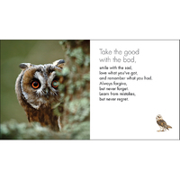 Inspirational Quote Book - A Little Book of Owl Wisdom