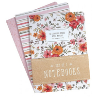 Large Notebook Set of 3: He Leads Me Besides, Pink Floral