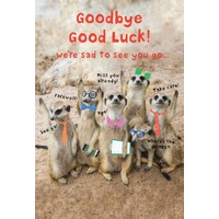 Card - Goodbye Good Luck w/Meerkats