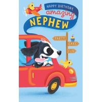 Card - Happy Birthday Amazing Nephew