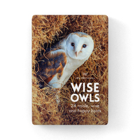 24 Animal Affirmation Cards - Wise Old Owls