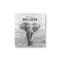 Inspirational Quote Book - A Little Book of Big Love
