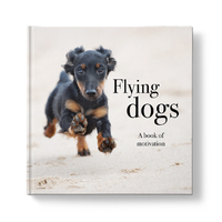 Inspirational Book - Flying Dogs