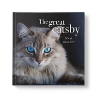 Inspirational Book - The Great Catsby
