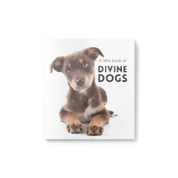 Inspirational Quote Book - A Little Book of Divine Dogs