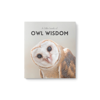 Inspirational Quote Book - A Little Book of Owl Wisdom