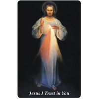 The Divine Mercy Chaplet Wallet-Size Prayer Card - Vilnius