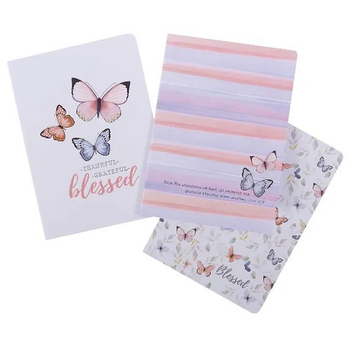 Large Notebook Set of 3: Blessed, Butterflies