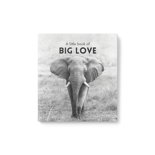 Inspirational Quote Book - A Little Book of Big Love