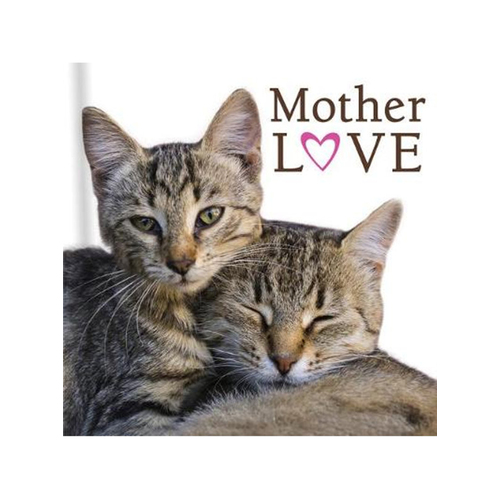 Mother Love - Cats